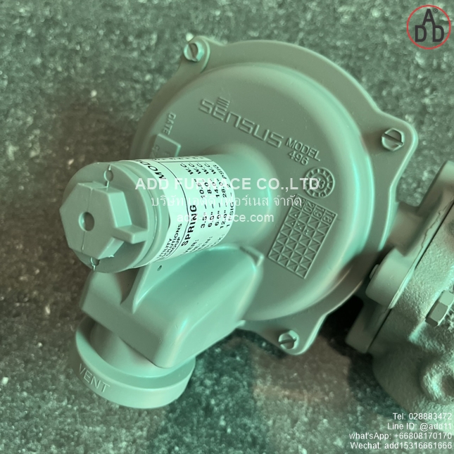 Sensus 496-20 Regulator(2)